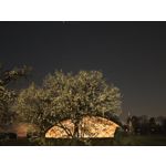 Zdjęcia użytkowników Xiaomi 15