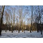 ZDJĘCIA Z TEGO TELEFONU