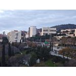 Zdjęcia użytkowników Xiaomi 15