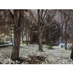 Zdjęcia użytkowników Xiaomi 15