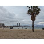 Zdjęcia użytkowników Xiaomi 17 Ultra