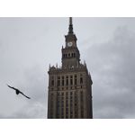 Zdjęcia użytkowników Xiaomi 17 Ultra