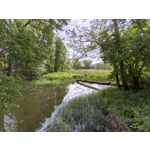 Zdjęcia użytkowników Xiaomi 17T Pro
