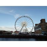 Zdjęcia użytkowników Zopo Hero 1