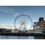 Zdjęcia użytkowników Zopo Hero 1