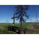 Zdjęcia użytkowników Zopo Speed 7 Plus
