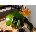 ZDJĘCIA Z TEGO TELEFONU