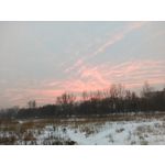 ZDJĘCIA Z TEGO TELEFONU