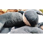 Zdjęcia użytkowników ZTE Blade VEC 4G