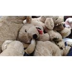 Zdjęcia użytkowników ZTE Blade VEC 4G