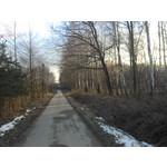 Zdjęcia użytkowników ZTE Grand X IN Zdjęcia użytkowników ZTE Grand X IN