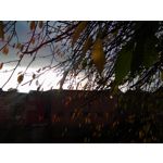 ZDJĘCIA Z TEGO TELEFONU