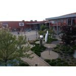 Zdjęcia użytkowników ZTE Nubia M2 Lite