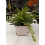 Zdjęcia użytkowników ZTE Nubia M2 Lite