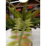 Zdjęcia użytkowników ZTE Nubia M2 Lite