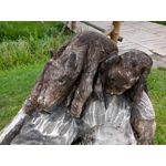 Zdjęcia użytkowników ZTE Nubia M2 Lite