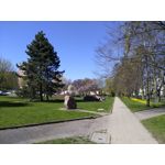 ZDJĘCIA Z TEGO TELEFONU