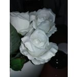 Zdjęcia użytkowników ZTE Nubia Z11