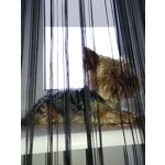 Zdjęcia użytkowników ZTE Nubia Z11