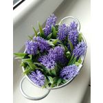 Zdjęcia użytkowników ZTE Nubia Z11