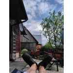 Zdjęcia użytkowników ZTE Orange Neva 80