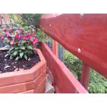 Zdjęcia użytkowników ZTE Orange Neva 80